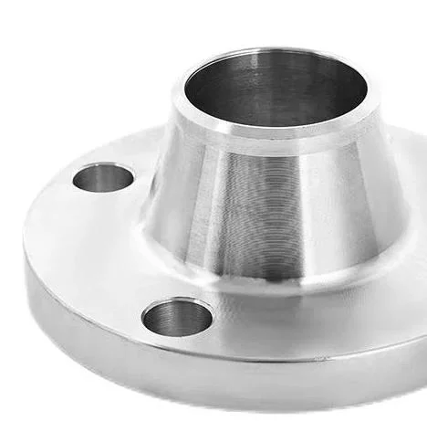 Factory Customized Forged Stainless Steel Weld Neck Flange